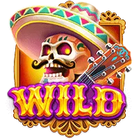 Wild Symbol