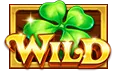Wild symbol